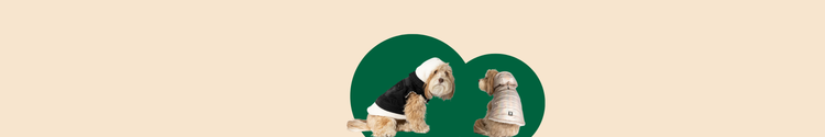 Is your Dog Well Dressed To Play Outside? 