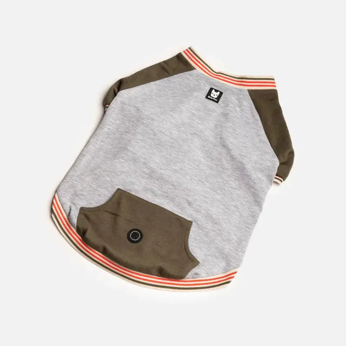 Chandail Sport Vert pour chien - 50% de réduction - Boutique Animo - Chandail pour chien