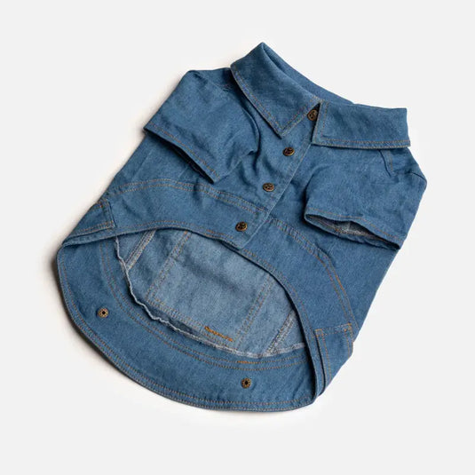 Jean Jacket pour chien - Boutique Animo - Manteau pour chien