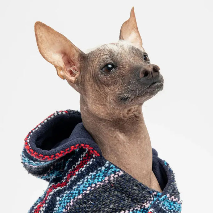 Poncho baja bleu pour chien - 50% de réduction - Boutique Animo - Manteau pour chien