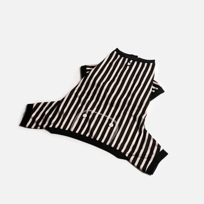 Pyjamas rayé pour chien - 50% de réduction - Boutique Animo - Pyjamas pour chien