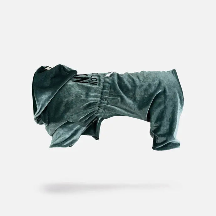 Pyjamas velour vert pour chien - 50% de réduction - Boutique Animo - Pyjamas pour chien
