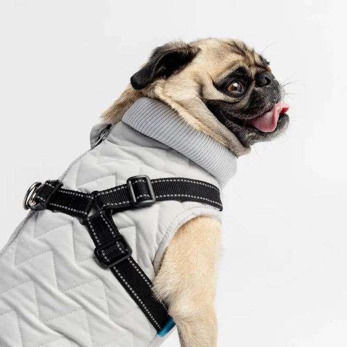 Veste avec harnais intégré gris pour chien - 50% de réduction - Boutique Animo - Manteau pour chien
